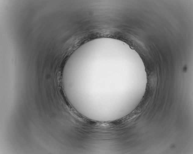 X0000094170181200710260917