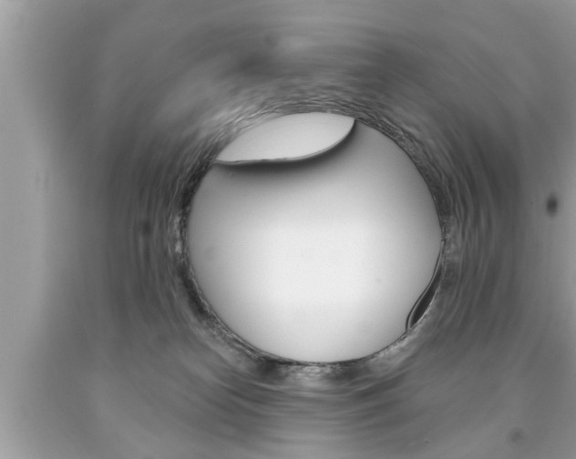 X0000094170182200710260917