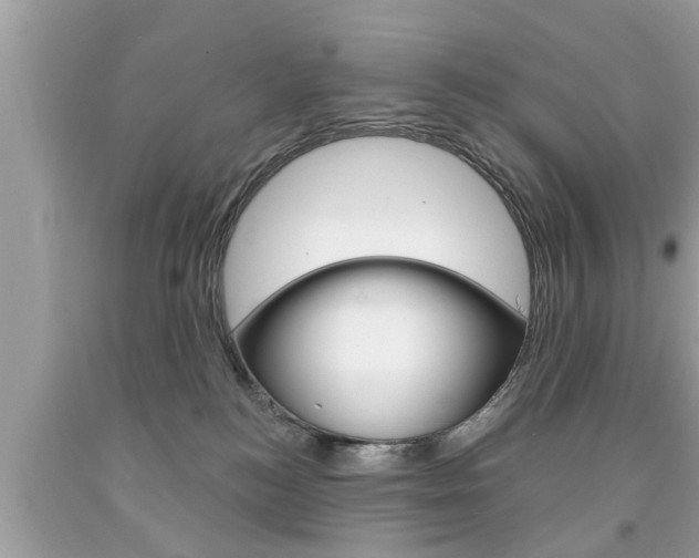 X0000094170184200710260917