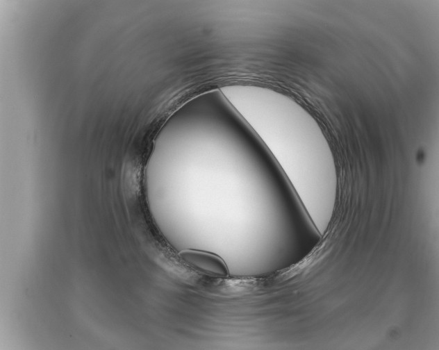 X0000094170188200710260917