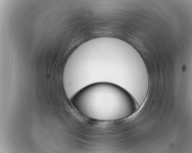 X0000094170190200710260917