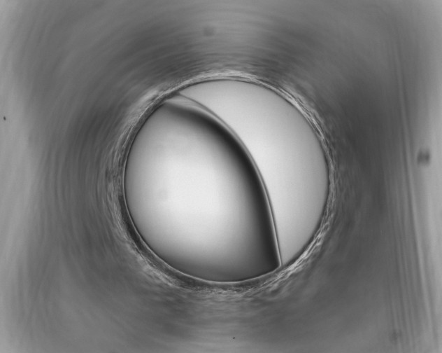 X0000094170193200710260916