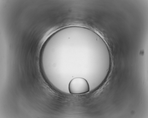 X0000094170199200710260916