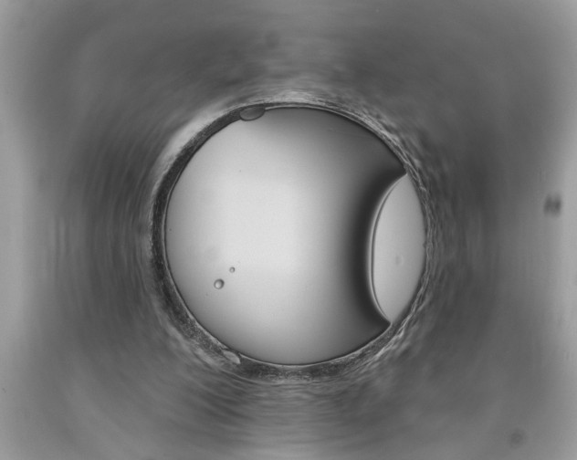 X0000094170200200710260916