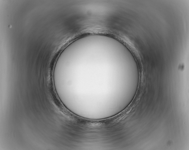 X0000094170202200710260916