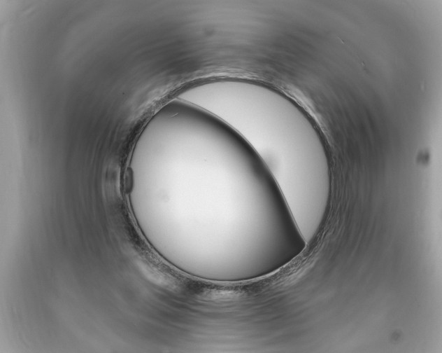 X0000094170205200710260916