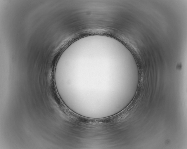 X0000094170206200710260916