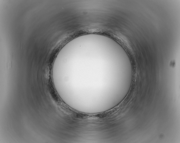 X0000094170210200710260916