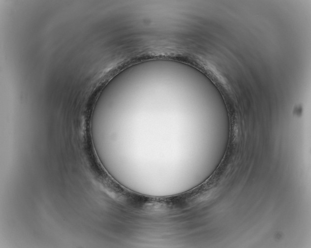 X0000094170211200710260916