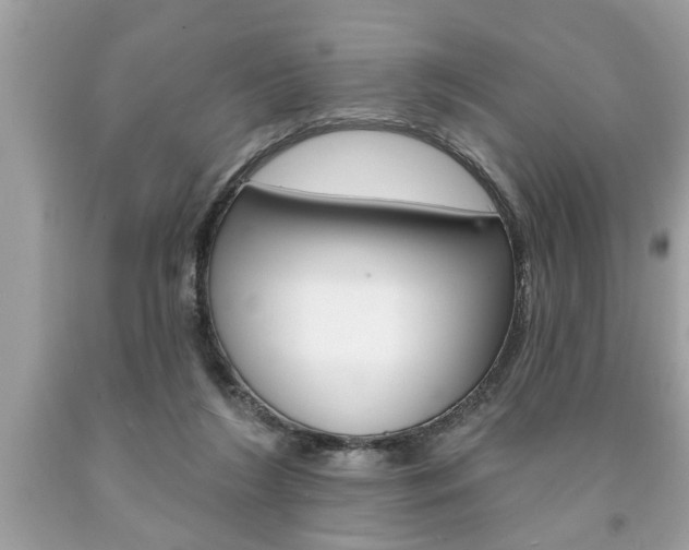 X0000094170212200710260916