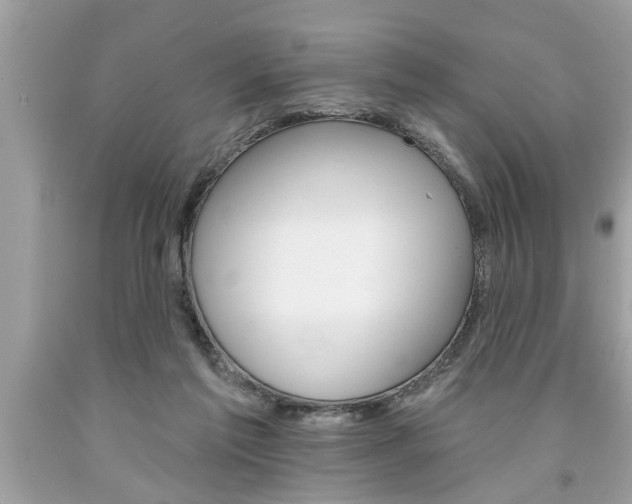 X0000094170213200710260916