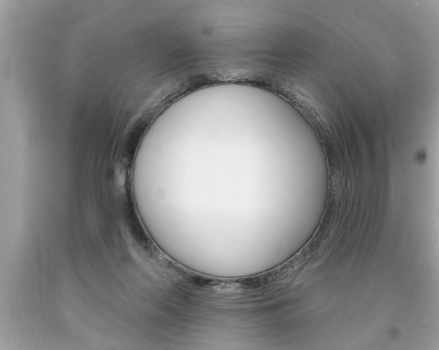X0000094170214200710260916