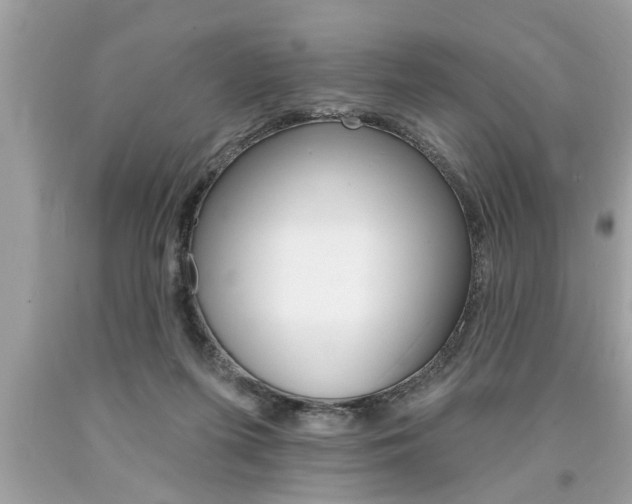 X0000094170215200710260916