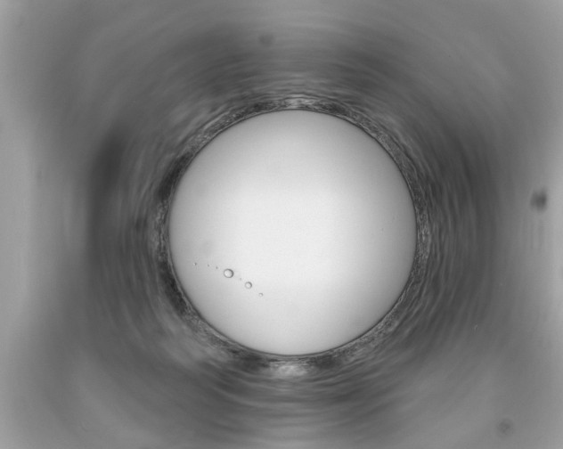X0000094170218200710260916