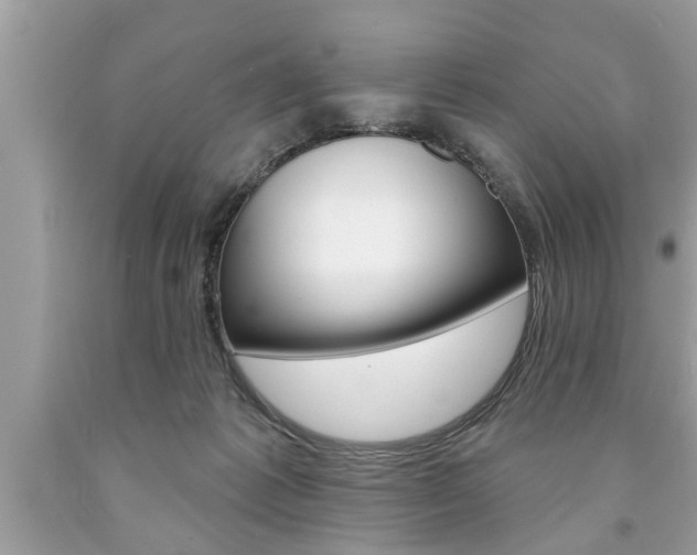 X0000094170221200710260916