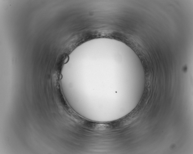 X0000094170222200710260916