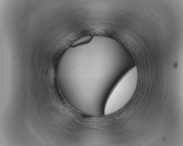 X0000094170223200710260916