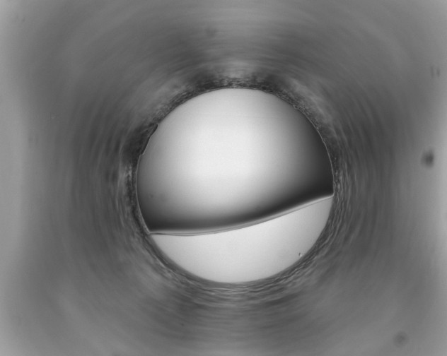 X0000094170225200710260916