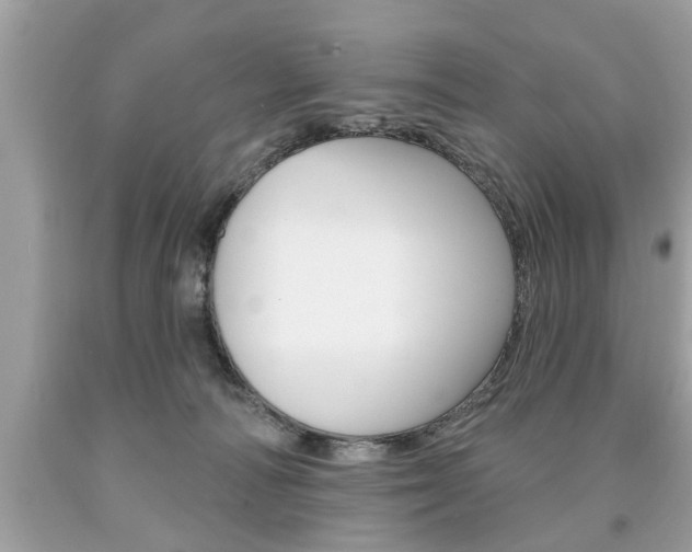 X0000094170226200710260916
