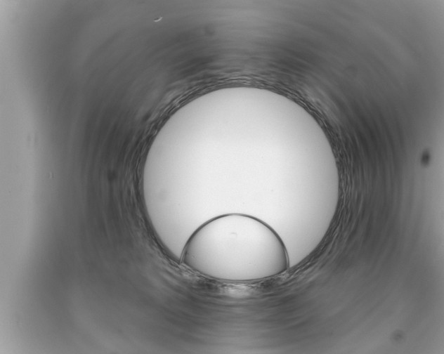 X0000094170229200710260916