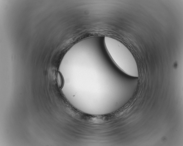 X0000094170232200710260916
