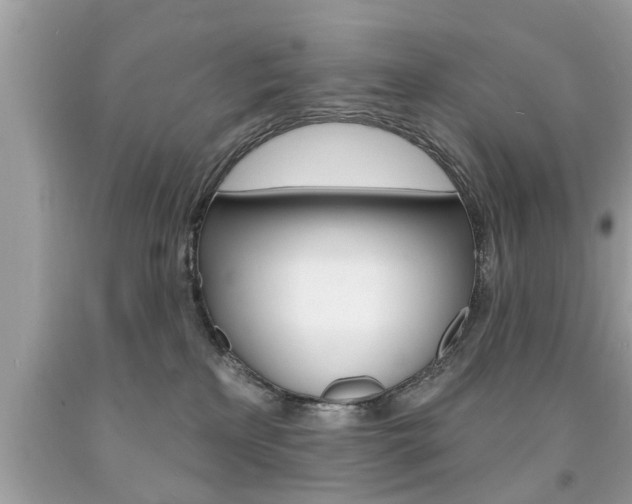 X0000094170233200710260916