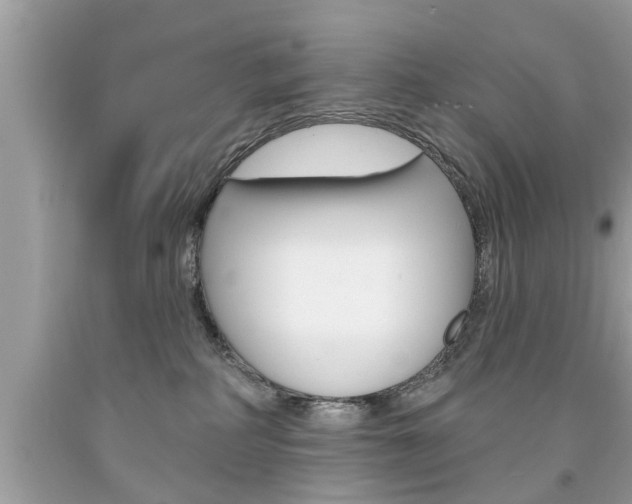 X0000094170234200710260916