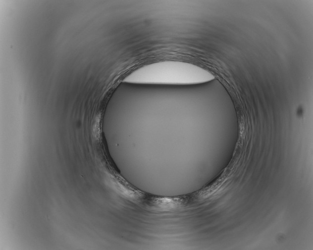 X0000094170239200710260916