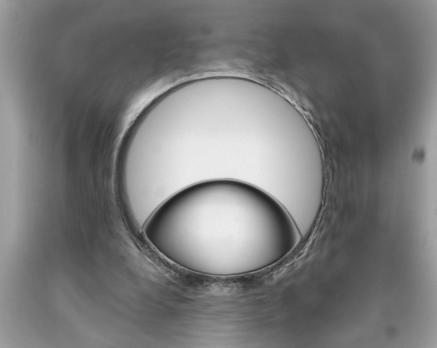X0000094170248200710260915