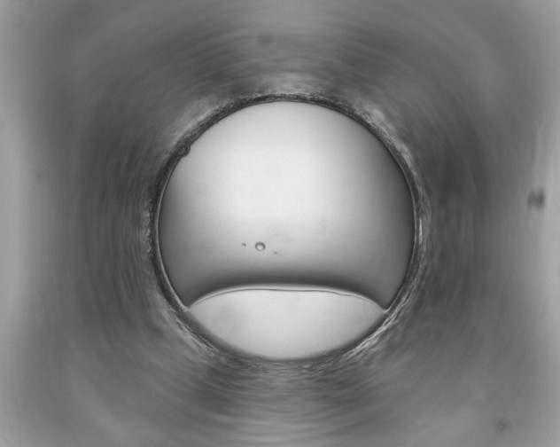 X0000094170249200710260915