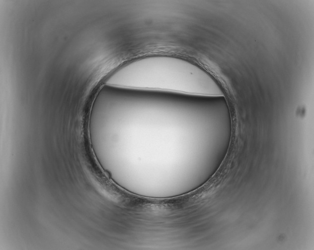 X0000094170250200710260915