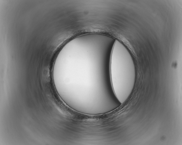 X0000094170251200710260915