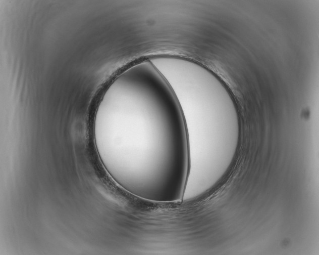 X0000094170252200710260915