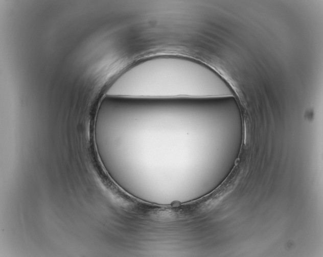 X0000094170253200710260915