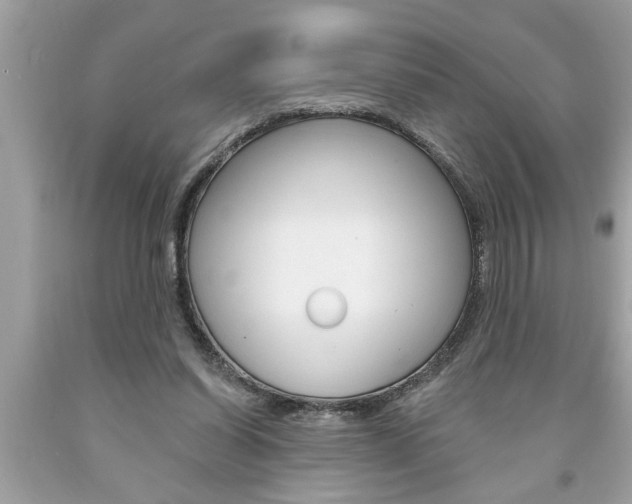 X0000094170254200710260915