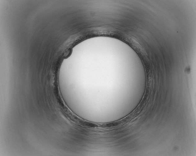 X0000094170255200710260915