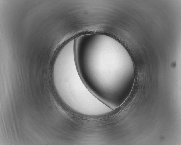 X0000094170256200710260915
