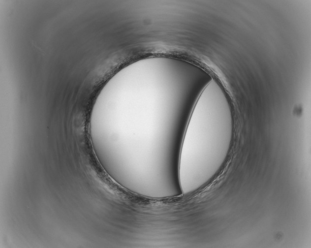X0000094170257200710260915