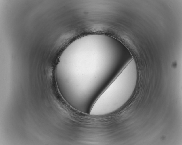 X0000094170260200710260915