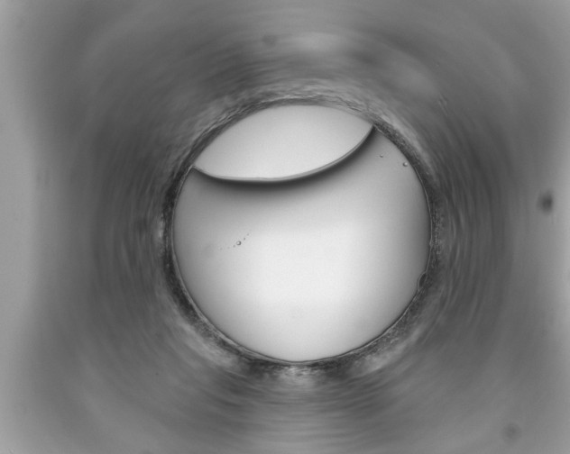 X0000094170261200710260915