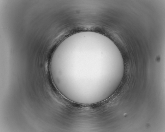 X0000094170262200710260915