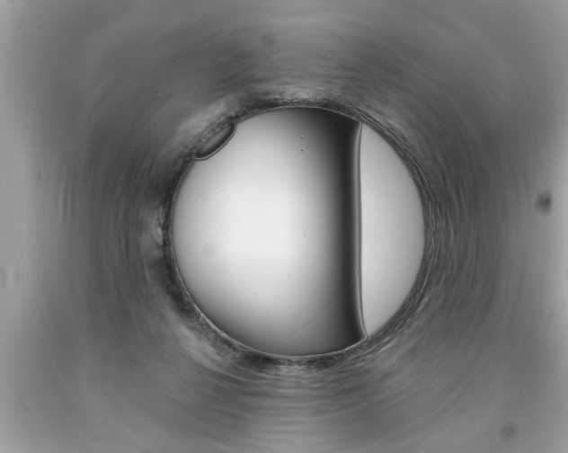 X0000094170264200710260915