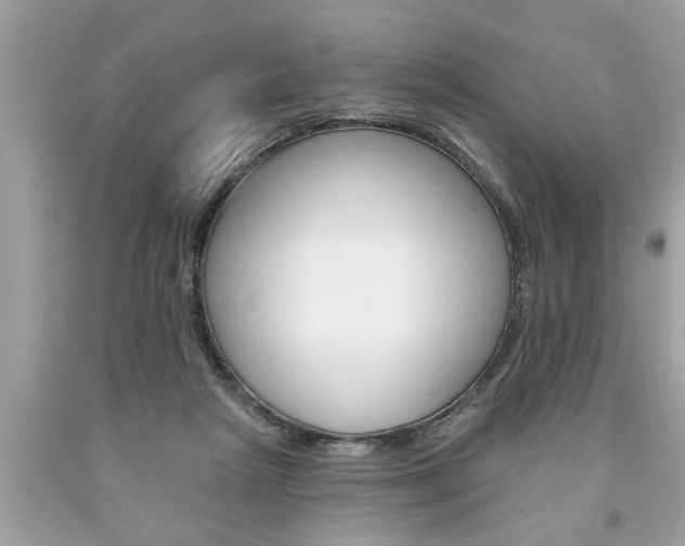 X0000094170265200710260915