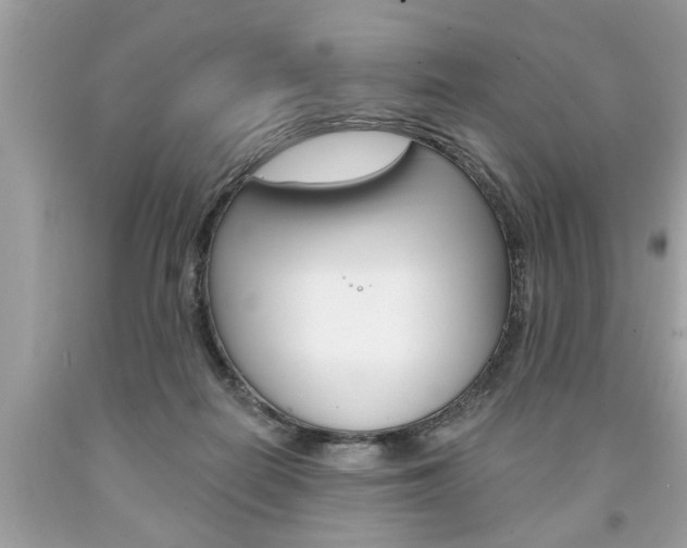 X0000094170266200710260915