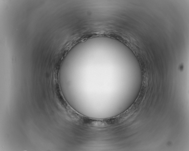 X0000094170272200710260916