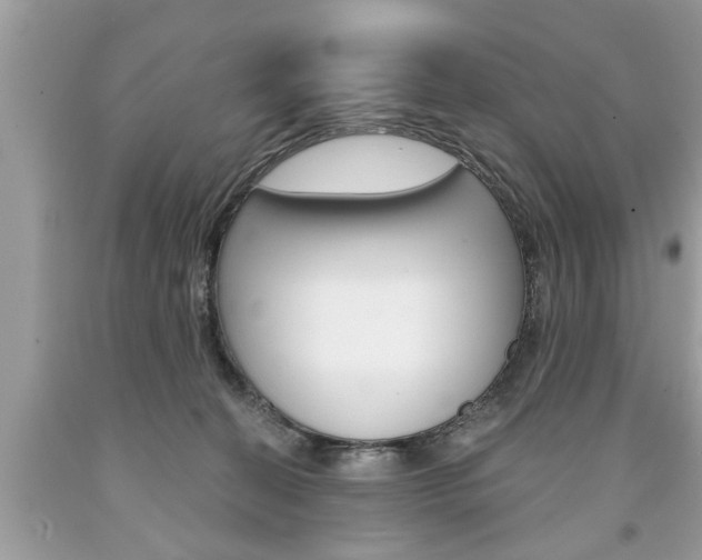 X0000094170274200710260916