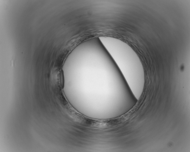 X0000094170276200710260916
