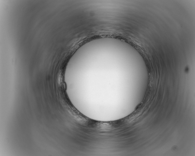 X0000094170287200710260916