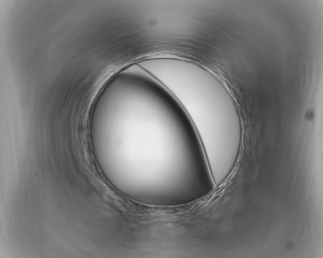 X0000094170289200710260915