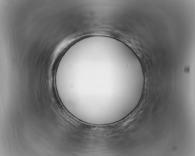 X0000094170294200710260915